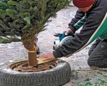 Vorbereitungen für den Weihnachtsmarkt
