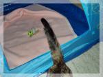 Muckl-Zelt-Bilder ツ