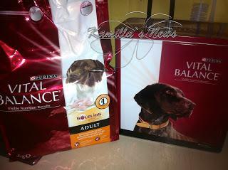 Vital Balance Hundefutter von die Insider