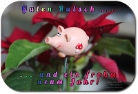 Augebraucht im Dezember 2012