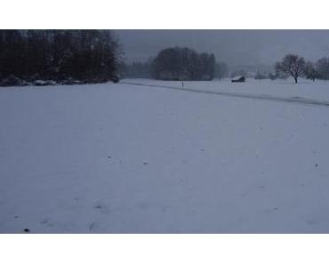 manchmal ist der Winter schon eine blöde Sau