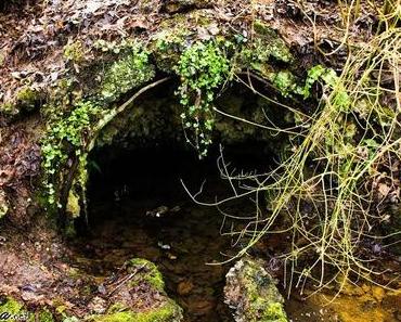 Yesterday: My day + Photography