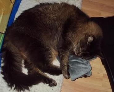 Pascha und “seine” Raschelmaus ツ