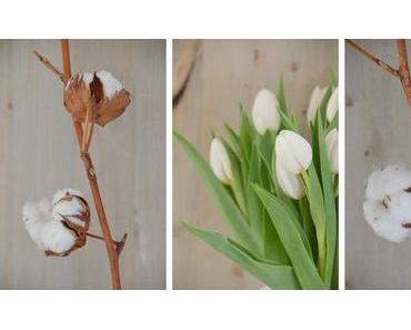 Kombination - combination