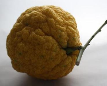 Herzlich wenig Herzlichkeit