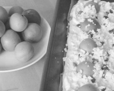 Aprikosen-Kuchenschmaus