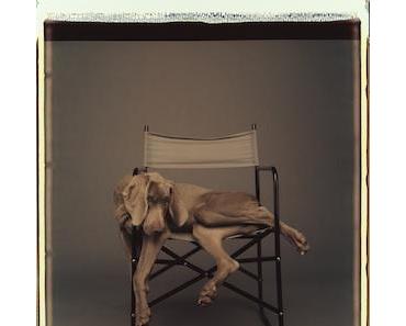 Fotokunst mit den Hunden Man Ray und Faye