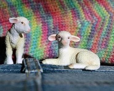 2undfünfzig 20zwölf