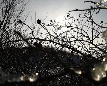 Nutzt doch bitte den Winter!