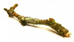 Stöckchen: Angstliste