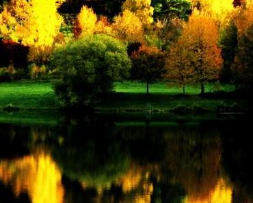 wallpaper-1689754