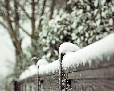 Beauty is where you find it