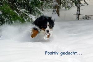 Positiv gedacht – Woche 5 in 2013