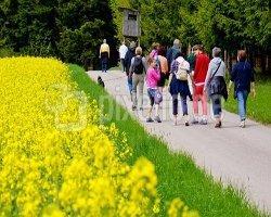 Bin ich normal wenn ich Einzelgänger bin?