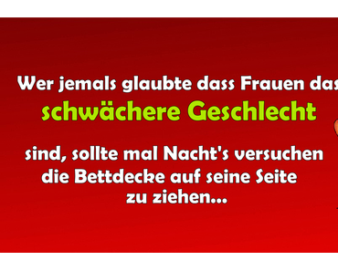 Humor über Frauen