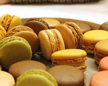 Tom Tailor - Wohlfühl Oase