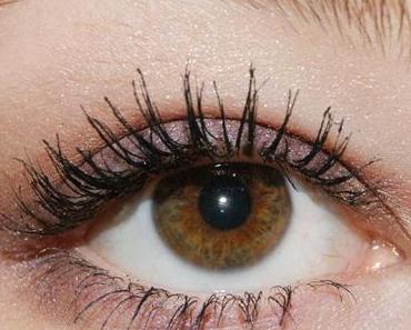 Clarins iris blossom part II