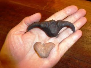 Was ist das? / What’s This? -  กระจับ