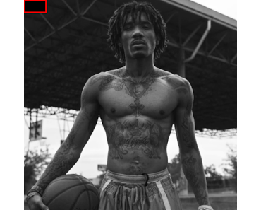 Video of the day - This is my court