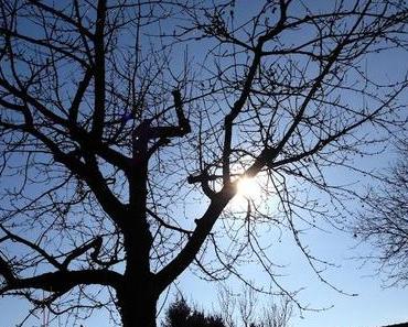 Gott sei Dank! Meine Helden des Alltags #3