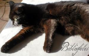 [Momentaufnahme] Kleine Sonntags-Fotostrecke