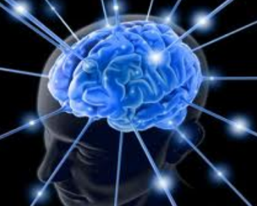 Höchst-leistungen unseres Gehirns