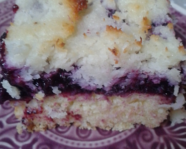 Blueberry Coconut Bars