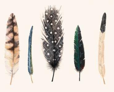 Winter vs. Frühling