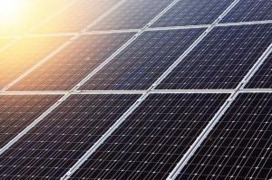 US-Uni entwickelt Solarzellen mithilfe der Evolution