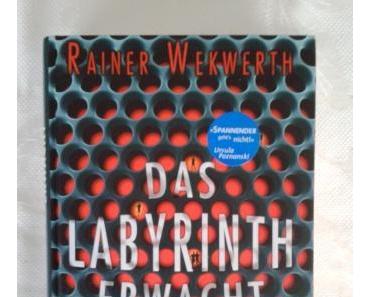 Das Labyrinth erwacht von Rainer Wekwerth