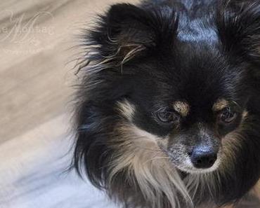 M wie Montag oder …