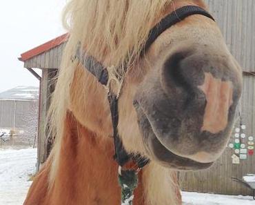 Wie Man 50 Kilo An Einem Tag Verliert
