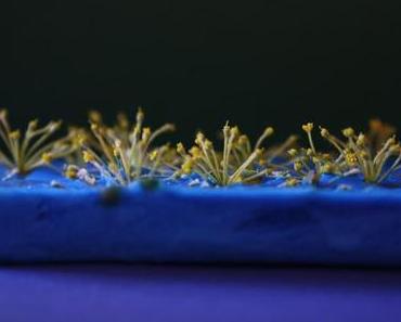 Aber doch nicht tiefgekühlt!