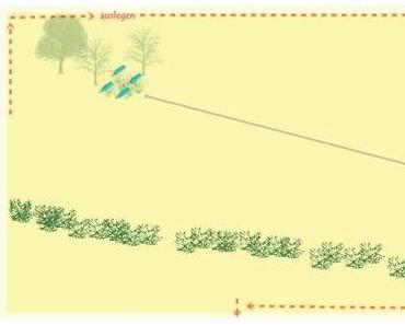 Und wieder einen Kopfsprung …