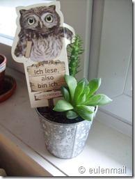 [Immer wieder sonntags]