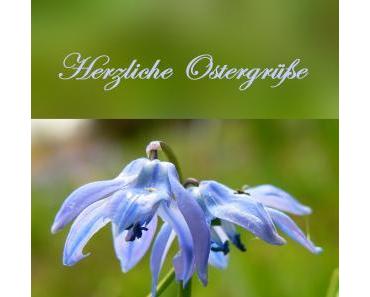 wallpaper-1689754
