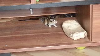 Gewinnspiel - Gewinner der Esprit Tischlampe