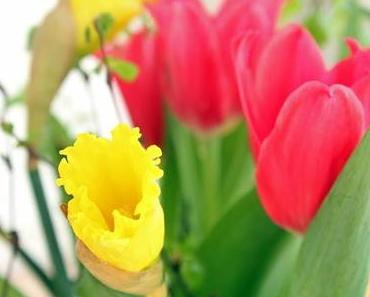 "Möta våren i Berlin"