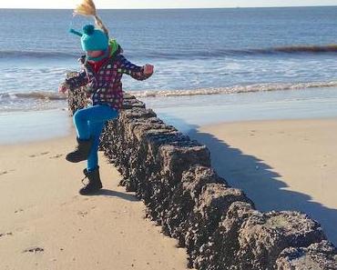 In Den Letzten 25 Jahren...