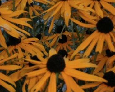 …und die Bibel hat doch recht!