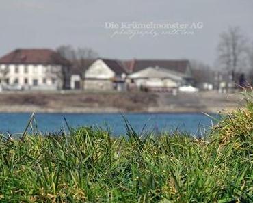 Osterhessen montags am Rhein