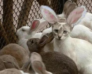 Better Me – Sport Update / Workout Update #7