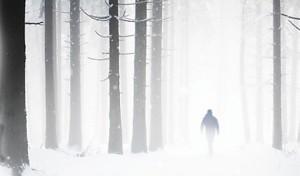 wallpaper-1689754