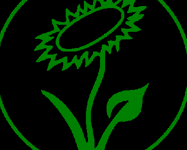 infofreitag - Meine vegane Woche