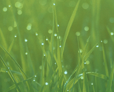 wallpaper-1689754
