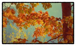 Vergiss den Sommer-Termin!