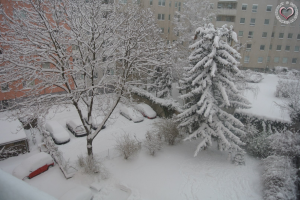 Überall Schnee in Wien