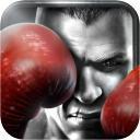 Im Angebot: Real Boxing