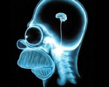 Tipps für Weibchen. Wie fang ich ein Männchen