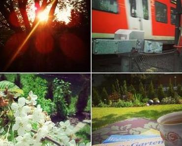 Van der Hellscher Wochenrückblick